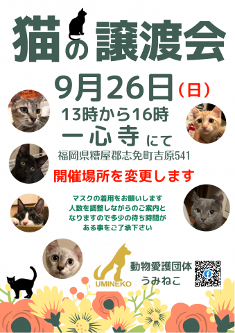 保護猫譲渡会