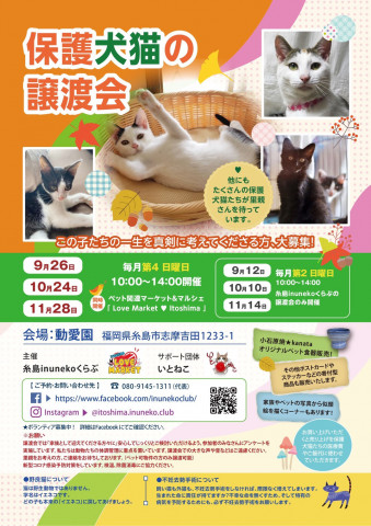 保護犬猫の譲渡会