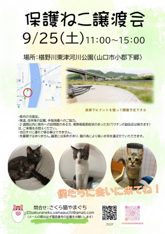 保護ねこ譲渡会