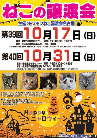 猫の譲渡会　in　名古屋市昭和生涯学習センター