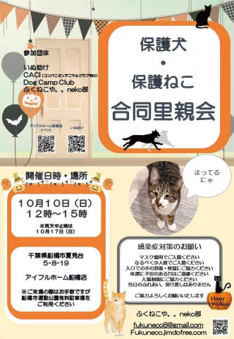 千葉県船橋市開催/ アイフルホーム犬・猫合同里親会