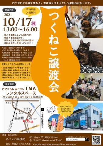 つくねこ譲渡会