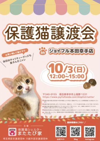 保護猫❤️譲渡会 in ジョイフル本田幸手店