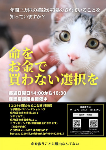 保護猫譲渡会