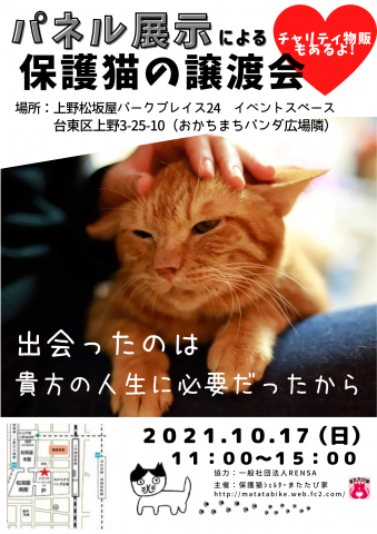 パネル展示による保護猫❤️譲渡会in上野