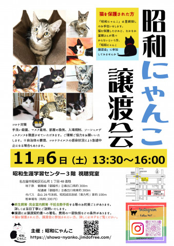 昭和にゃんこ譲渡会　in　名古屋市昭和区