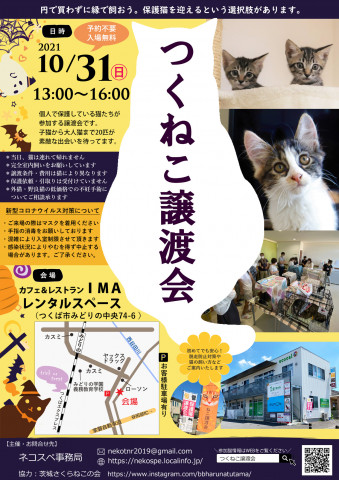 つくねこ譲渡会