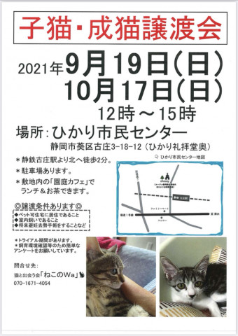 ねこのWa猫譲渡会　静岡市葵区