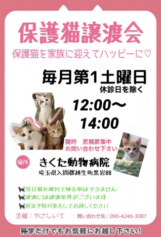 保護猫譲渡会