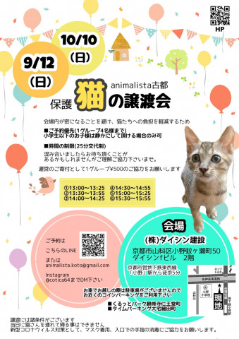 animalista古都　保護猫の譲渡会