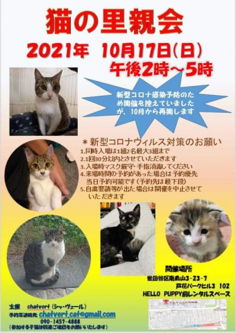 猫の里親会