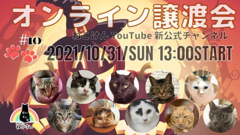 #10ねこけん★YouTubeLIVE譲渡会！