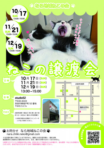 猫の譲渡会