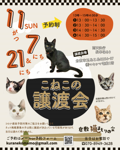 ほごっここねこの譲渡会（予約制）