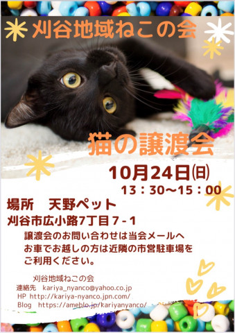刈谷市で開催！！猫の譲渡会！！！