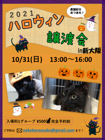 ハロウィン特番黒猫大会