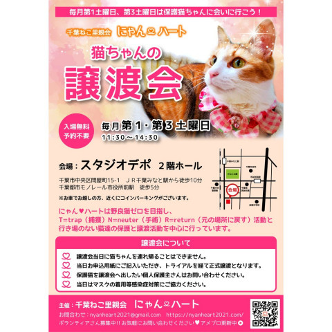 千葉ねこ里親会　にゃんハート主催　保護猫譲渡会