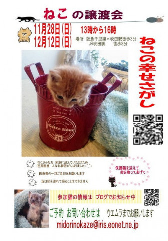 ねこの幸せさがし　譲渡会