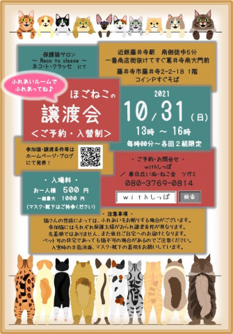 藤井寺ほご猫譲渡会