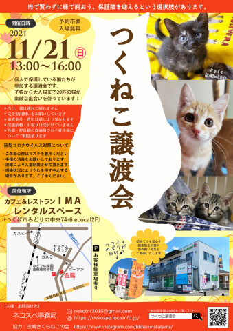 つくねこ譲渡会