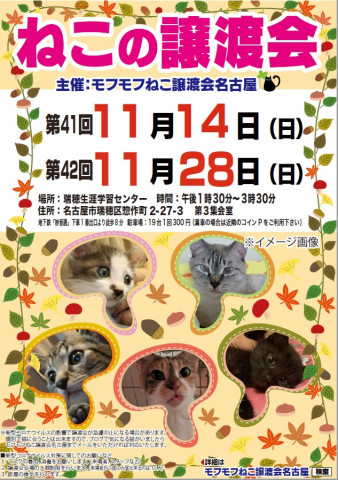 猫の譲渡会　in　名古屋市瑞穂生涯学習センター