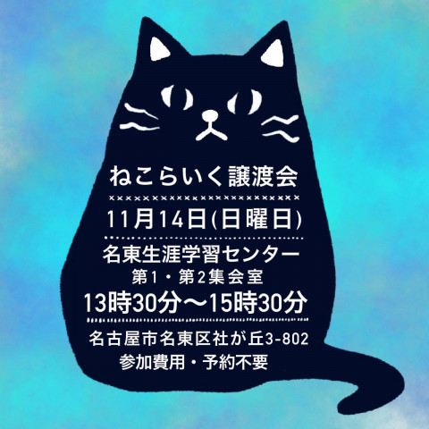 猫の譲渡会/名古屋市名東区