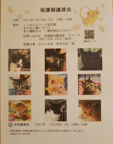 市川市地域猫活動団体 ウイング譲渡会