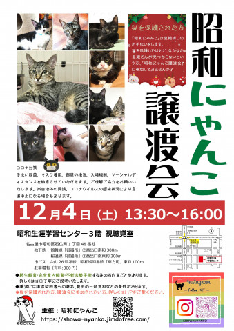 昭和にゃんこ譲渡会　in　名古屋市昭和区