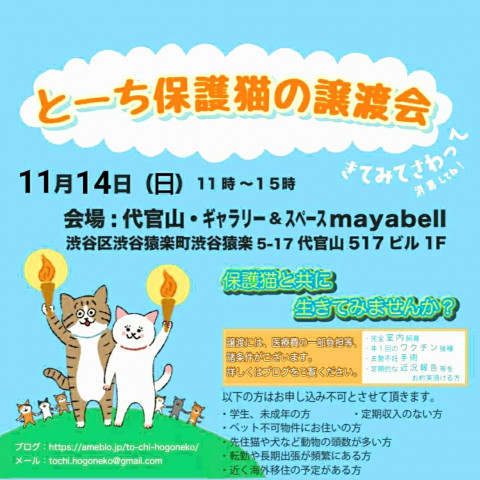 とーち保護猫の譲渡会