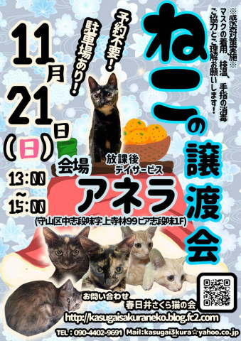 春日井さくら猫の会at アネラ