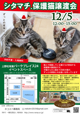 シタマチ.保護猫譲渡会