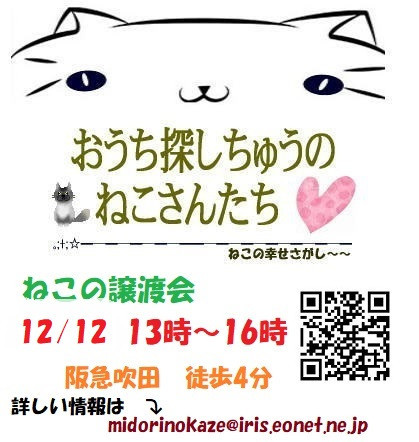 ねこの幸せさがし譲渡会