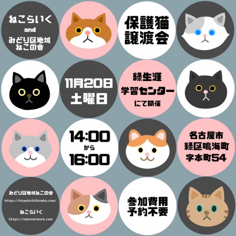 名古屋市緑区生涯学習センター/みどりねこ＆ねこらいく