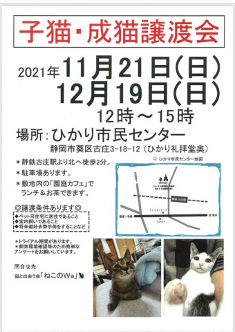 ねこのWa猫譲渡会　静岡市葵区