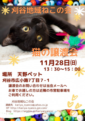 刈谷地域ねこの会　譲渡会