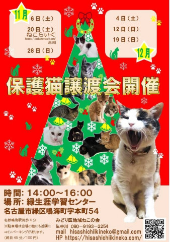 名古屋市緑区猫の譲渡会