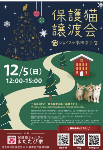 保護猫❤️譲渡会 in ジョイフル本田幸手店