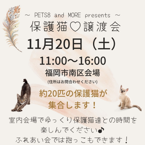 PETS8〜保護猫♡譲渡会〜