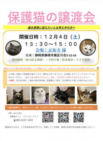 保護猫の譲渡会