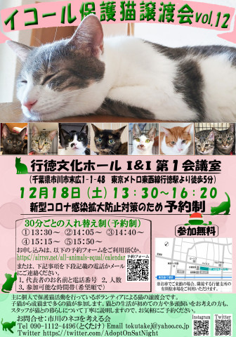 【千葉県市川市】イコール保護猫譲渡会vol.12