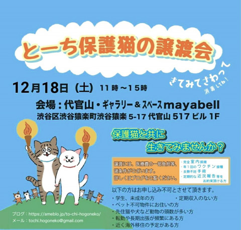 とーち保護猫の譲渡会