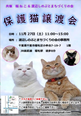 稲ねこ　保護猫譲渡会