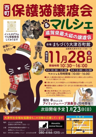 百町保護猫譲渡会&マルシェ