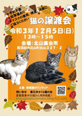 春日井さくら猫の会at 北山集会所