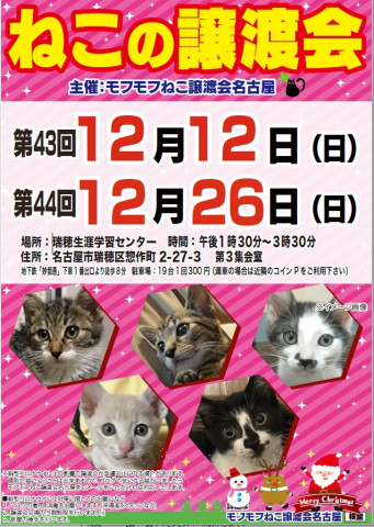 猫の譲渡会　in　名古屋市瑞穂生涯学習センター