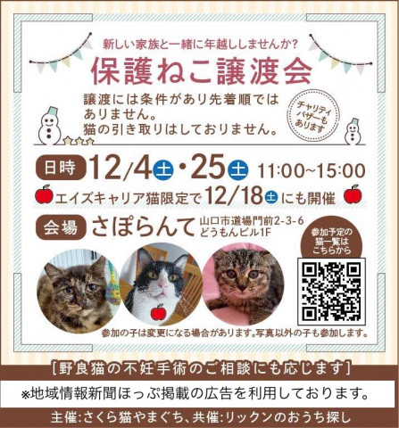 保護ねこ譲渡会inさぽらんて