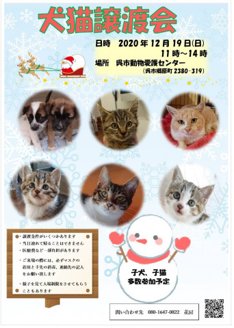 保護犬猫譲渡会