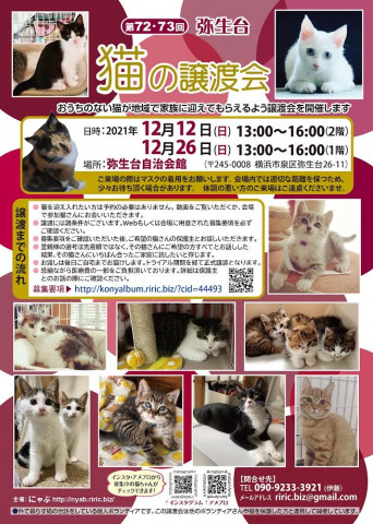 〜横浜市泉区〜 猫の譲渡会@弥生台