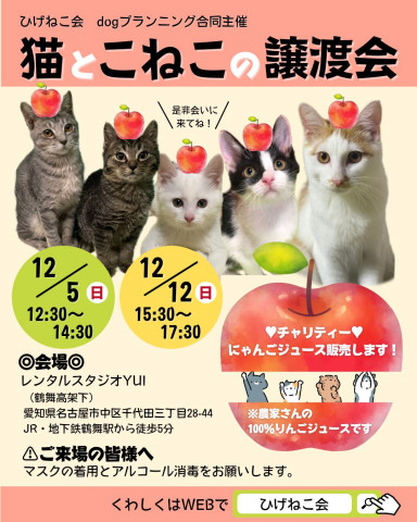 ねこ☆合同譲渡会