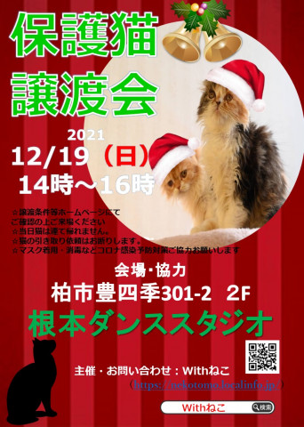 【柏市】12/19（日）根本ダンススタジオ保護猫譲渡会